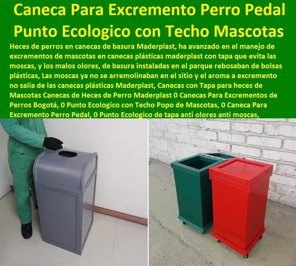 Canecas con Tapa para heces de Mascotas Canecas de Heces de Perro Maderplast 0 Canecas Para Excrementos de Perros Bogotá, 0 Punto Ecologico con Techo Popo de Mascotas, 0 Caneca Para Excremento Perro Pedal, 0 Cunas Y Parideras Para Perros, Parques Para Perros, Corrales Para Perros, Jaulas cuidado de perros, Casas Para Perros Y Mascotas, Agility De Perros, Pistas De Adiestramiento, Caninos Para Perros, Equipo De Agility Para Perros, Punto Ecológico de tapa  Canecas con Tapa para heces de Mascotas Canecas de Heces de Perro Maderplast 0 Canecas Para Excrementos de Perros Bogotá, 0 Punto Ecologico con Techo Popo de Mascotas, 0 Caneca Para Excremento Perro Pedal, 0 Punto Ecológico de tapa